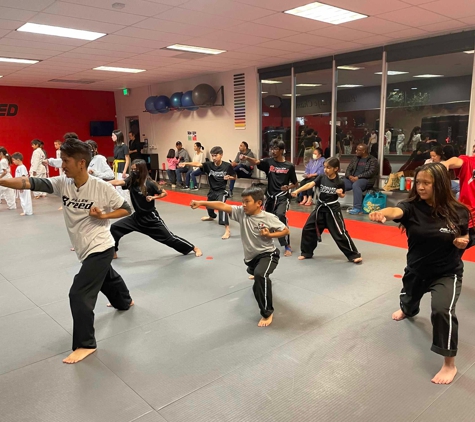 Pallens Martial Arts Tri Valley - Dublin, CA