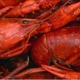 Hot N Juicy Crawfish