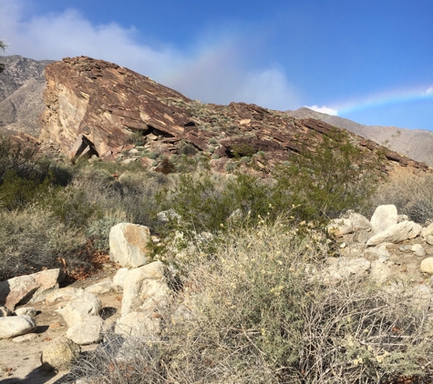 Indian Canyons - Palm Springs, CA