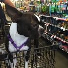 Pet Supplies Plus