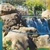 Lost Mountain Adventure Golf gallery