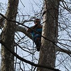 Meritt's  Tree Service