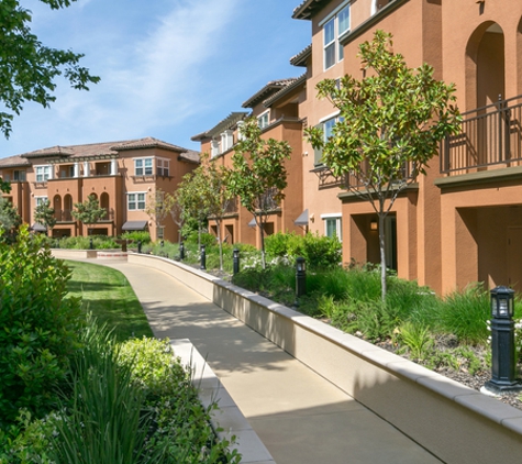 Aventino Apartments - Los Gatos, CA