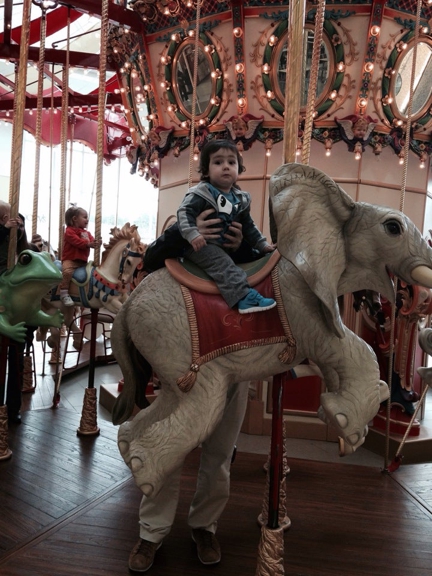 Carousel Gallery #21