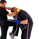 Chi's Martial Arts - Health & Fitness Program Consultants