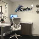 Cedar Chiropractic & Sports - Chiropractors & Chiropractic Services