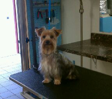 skys the limit grooming salon n spa - Daytona Beach, FL