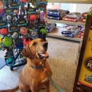 City Dogs Grocery - Pet Stores