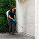 got bugs? Termite and Pest Solutions - Pest Control Services