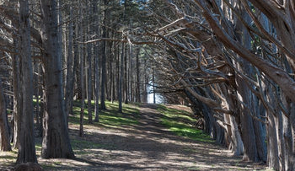 Seal Cove Inn - Moss Beach, CA