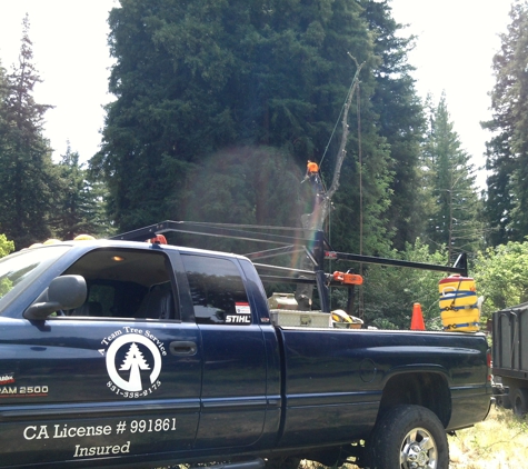 A Team Tree Service - Boulder Creek, CA