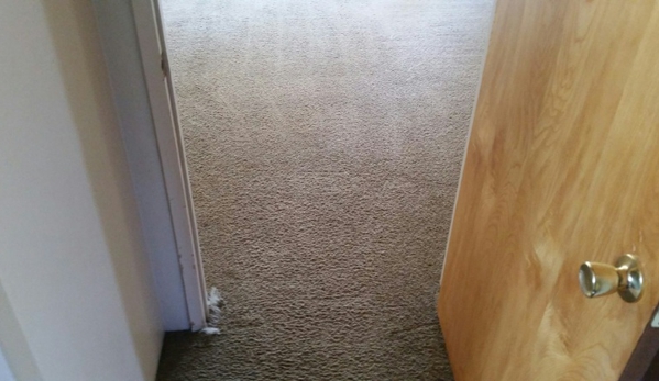 CleanDay Carpet Care - San Diego, CA