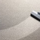 Organic Carpet Cleaning Venice