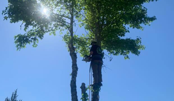 Riddle Tree Service LLC - Philomath, OR