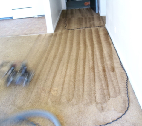 Clean Quik Carpet Service, Inc. - Nashville, TN. Power Scrubbing