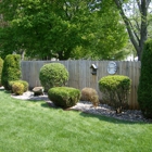 Fresh Cut Lawn/Shrub Care