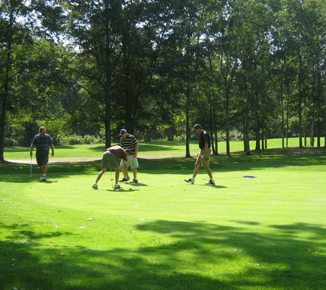 Fawn Crest Golf Course - Wellston, MI