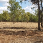 TEXANS LAND CLEARING