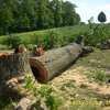 Harver Tree Service gallery