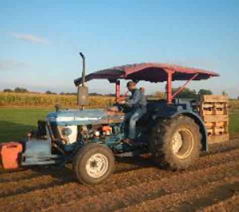 Saginaw Valley Sod Farm - Saginaw, MI