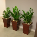 Pacific Interior Plants - Living Plant Rental & Leasing