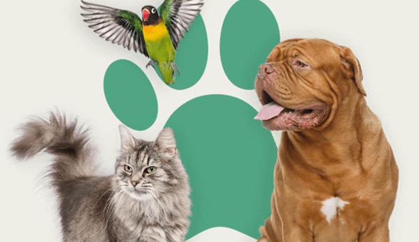 Passionate Paws Veterinary Surgery - Pialba, QLD