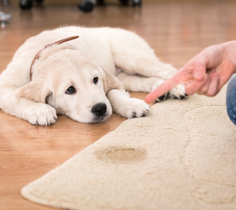 Chem Master Carpet & Rug Cleaners - Eau Claire, WI