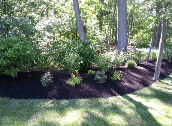 Lawn Force One, LLC - Indianapolis, IN. This berm was built to help keep the yard from flooding.  Awesome Job.