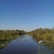 Airboat In Everglades