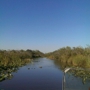 Airboat In Everglades