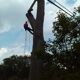 Dutchs Tree Service