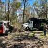 Timberline Expert Tree Service gallery