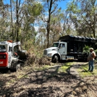 Timberline Expert Tree Service