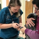 Animal Care Hospital - Veterinarians