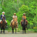 Blue Spruce Farm - Stables