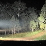 Gallery Image Number 4