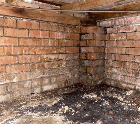 Precision Building. Rising Damp