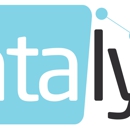 Datalyst Systems - Marketing Consultants