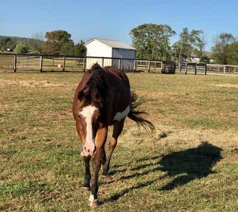 Rosemar Farm - Milford, NJ