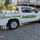Mosquito Alliance League