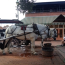 Savannah Carriage Tours - Sightseeing Tours
