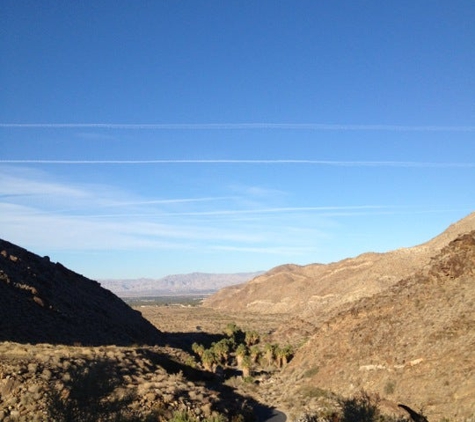 Indian Canyons - Palm Springs, CA