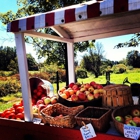 Eddy Farm Pumpkin Patch