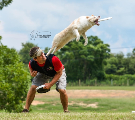 The Brightside Dog Training and Boarding - Dacula, GA