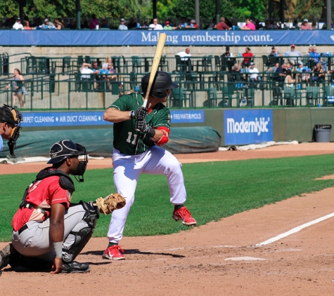 Great Lakes Loons - Midland, MI