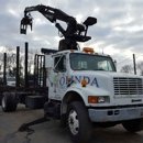 Olinda Tree Services Inc - Tree Service