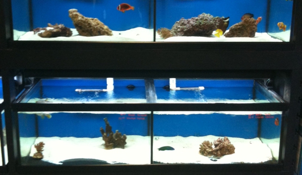 The Aquarium Store - Baton Rouge, LA