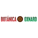 BOTANICA OXNARD - Candles