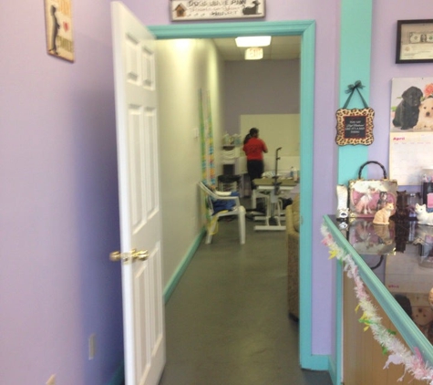 Bleu's bubble's Pet Salon - Winter Park, FL