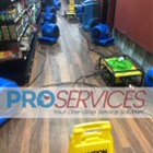 Pro Services